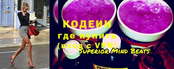 ПСИЛОЦИБИНОВЫЕ ГРИБЫ Арсеньев